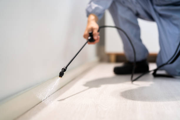 Bed Bug Pre-Treatment Preparation Assessment in Shorewood Hills