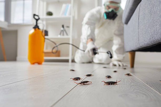 Post-Treatment Bed Bug Interceptor Monitoring in Shorewood Hills